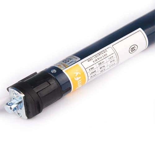 lsn-1