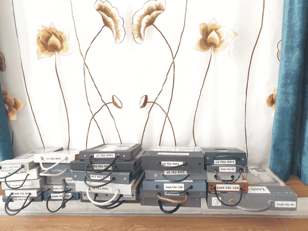 194577972 760493671295303 8467044759674193959 n