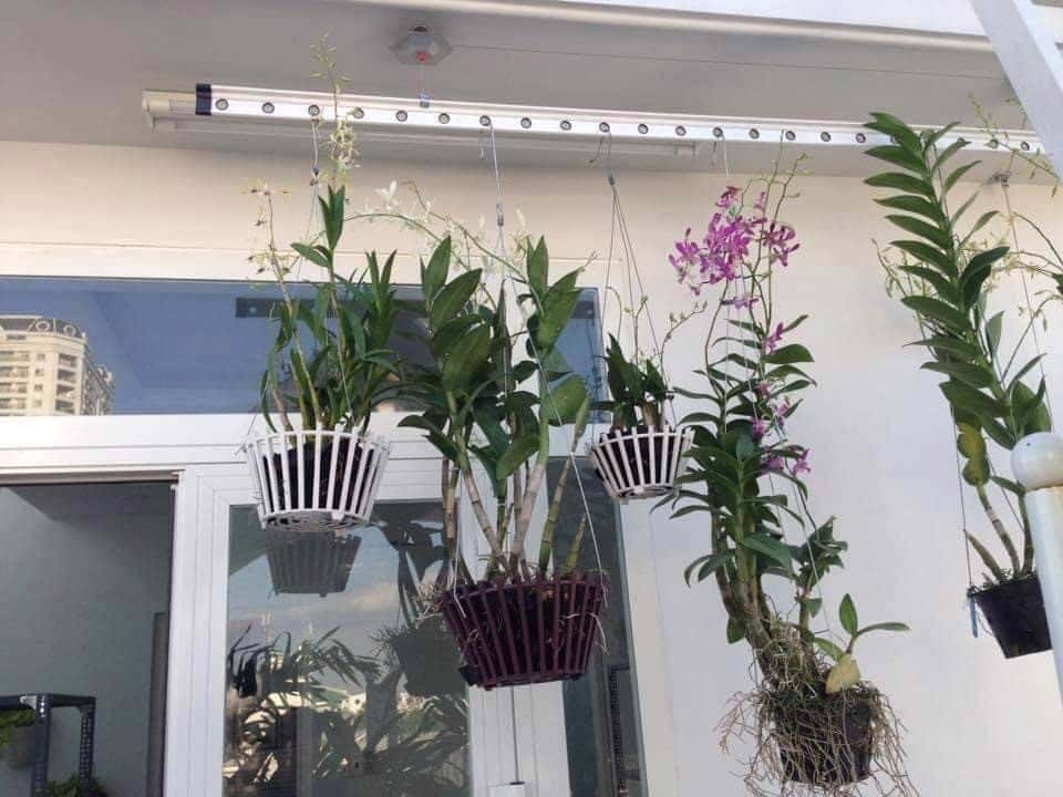 gia%CC%80n pho%CC%9Bi treo tra%CC%82%CC%80n blinds.vn