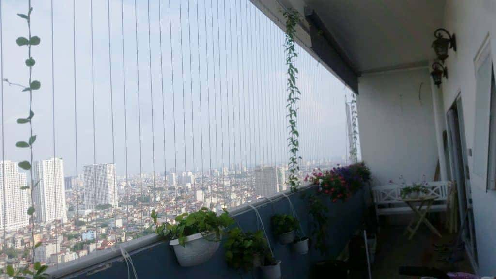 lưới an toàn Da Nẵng