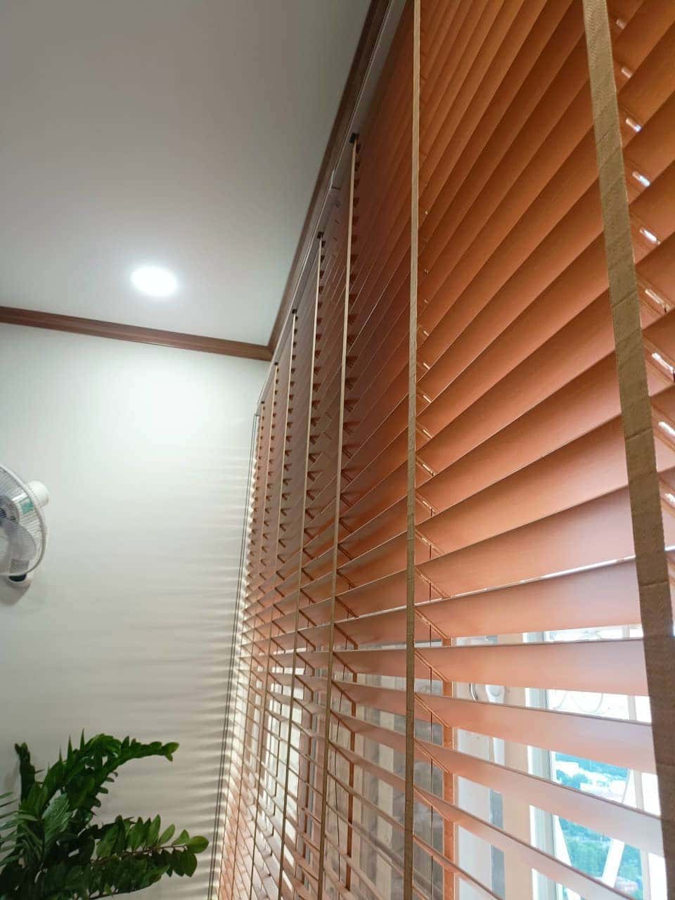 rem go sang trong can tho 2