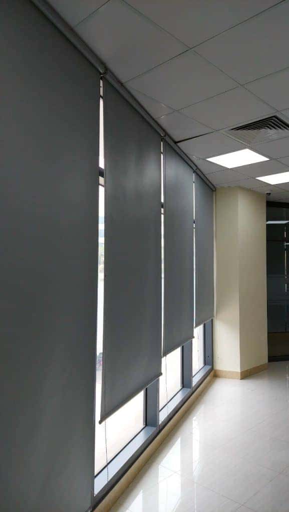 add81c5eda771c29456619