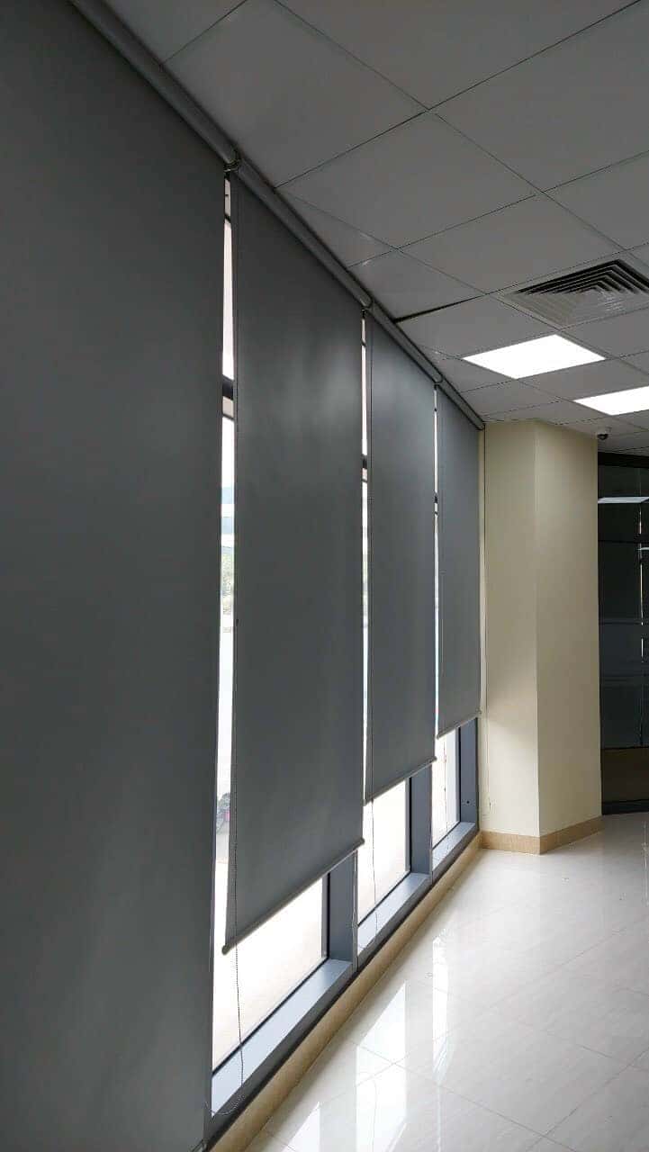 add81c5eda771c29456619