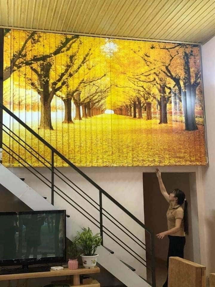 rem cuon in tranh blinds 5
