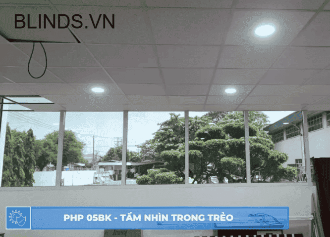 PHP 05BK 5