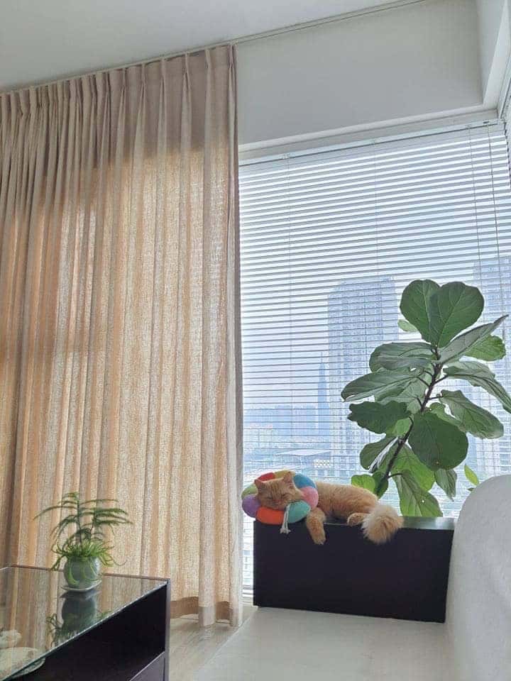 vai linen blinds vn 4