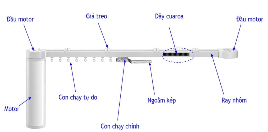 Dong co cau tao
