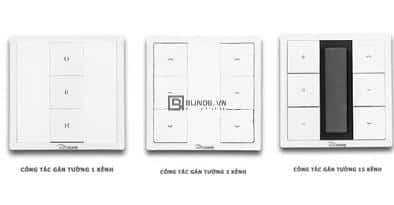 dong co rem vai auto home 9