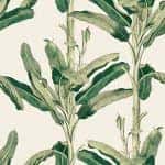 Giấy Dán Tường FIESTA FE1601-2