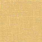 Giấy Dán Tường FIESTA FE1603-4