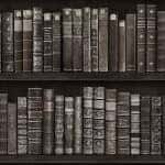 Giấy Dán Tường FIESTA FE1606-3