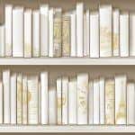 Giấy Dán Tường FIESTA FE1613-1